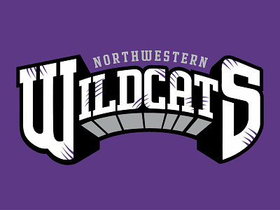 WILD (90s) STYLE 90s basketball college basketball northwestern wildcats