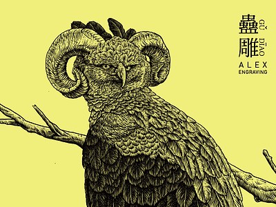 山海经 蛊雕 drawing eagle engraving graphic hawk illustration