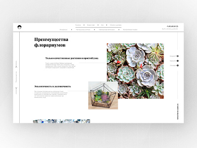 flowers online-shop, page concept design flowers inspiration online shop ui ui ux web website website concept