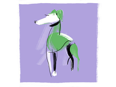 The Greyhound animal color digital digitalart dog greyhound illustration