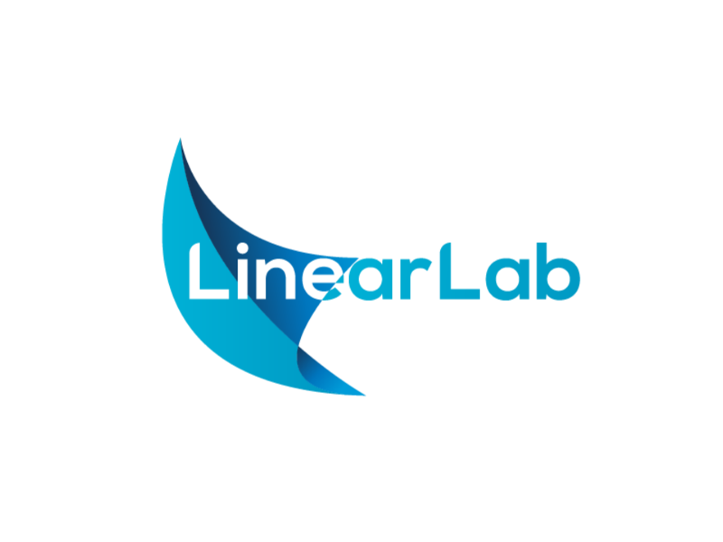 Example of Brand Package | Logo Design + Branding