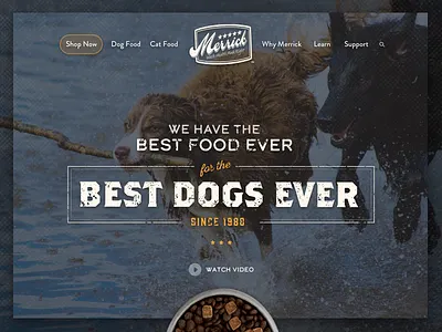 Website Hero Image dog dog food hero image pet food type website