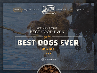 Website Hero Image dog dog food hero image pet food type website