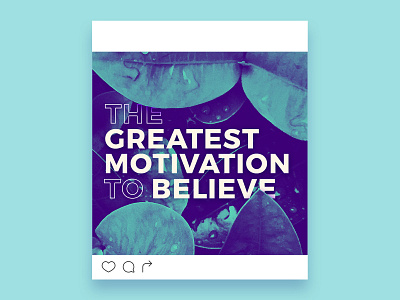 Believe believe branding central coast content depth duotone faith foliage leaves slo social wip