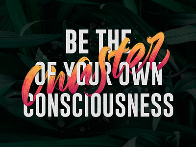 Be the master of your own consciousness brushlettering design hand draw ipadlettering lettering letters procreate script type typedesign typography