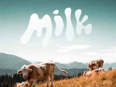 Milk Shake Logo branding concept branding designer cow logo a day milk