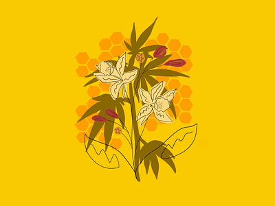 Botanical Illustration botanical botanical art branding cannabis cannabis design cannabis packaging cardamom cbd cbd oil colorful honey illustration procreate tincture vanilla vector