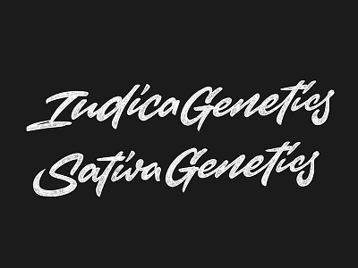 Genetics calligraphy casual customtype design hand lettering handlettering handwritten indica lettering logo logotype sativa script sketch type typemate typography weed