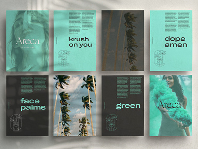 Areca branding cannabis weed