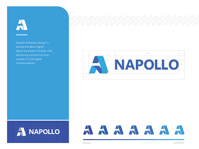 Software House Design Branding blue and white brand agency brand and identity branding color theory design design agency digital agency graphic design idendity illustration logo napollo software design vector