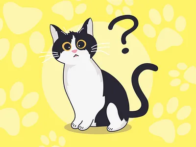 今天的罐头呢？ cat query