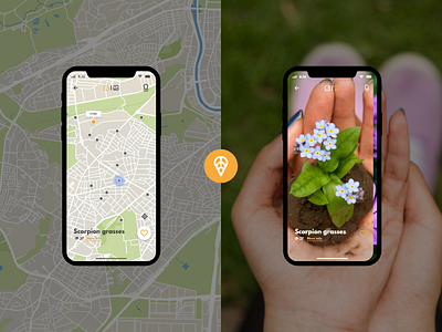 Anspot explore feature app card community design design app explore fab give away iphone x like button location app logo maps match plants search ui user flow ux ux ui design