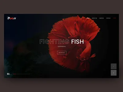 HTML template (WIP) experimental html template screenshot web design