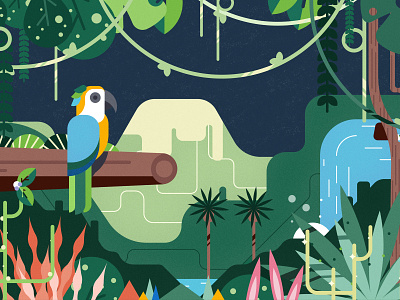 JUNGLE artist color design flat flatillustration illustration illustrator ilustracion jungle parrot photoshop vector