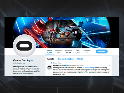 Oculus Gaming Twitter Graphic desiginspiration design illustration twitter visual visual art vr