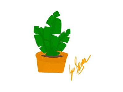 Plant illustration plant practice procreate