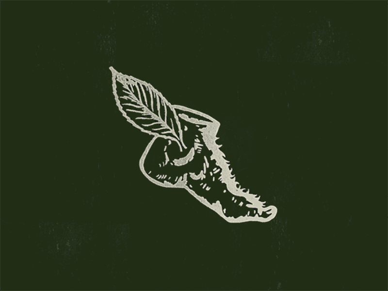 Mordor Marathon 2019 lord of the rings lotr marathon running sports track vintage