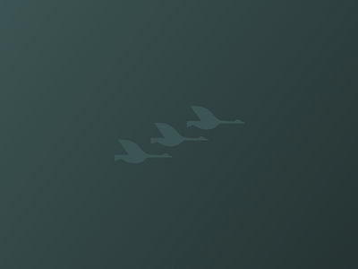 Team of Geese 2/2 animal bird brand branding clean design flying geese goose icon illustration illustrator jrdickie logo mascot minimal simple sketch sketchapp team