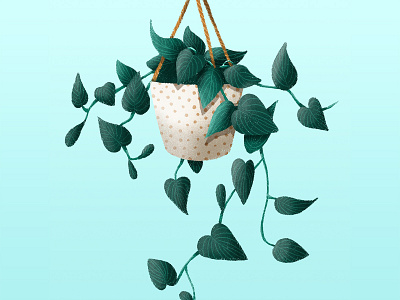 Pothos Plant digital digital drawing green hanging plant illustration nature plant pothos pothos plant spring