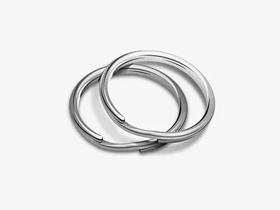 Rings. illustration illustrator rings