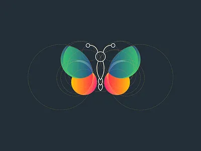 Butterfly with Golden ratio butterfly golden ratio golden ratio logo logo
