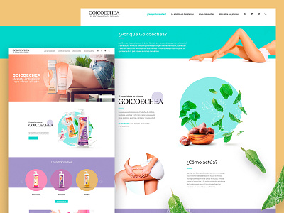 Goicoechea Site beauty redesign ui ux ui ux design website