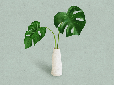 plant plant illustration nature