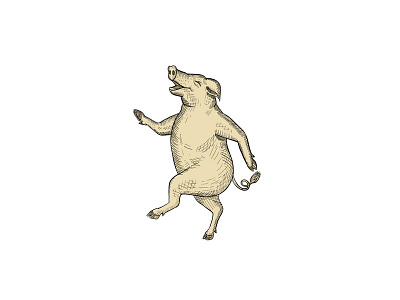 Jolly Pig Dancing Drawing Retro Color dance dancing domestic pig doodle drawing engraved eurasian wild boar hand drawn handmade happy hog ink jolly movement performance pig shading stride swine walking