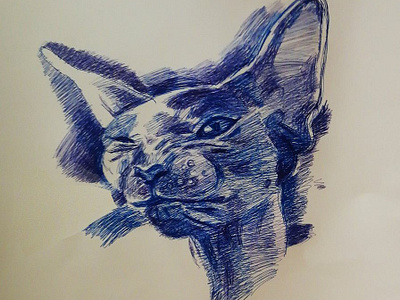 Cat 2d traditional art