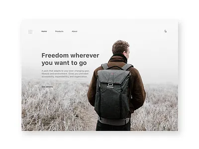 Backpack app branding branding design skech uidesign ux ux ui design web web deisgn