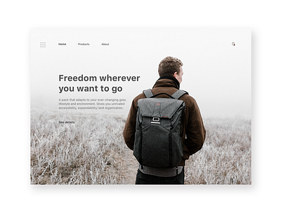 Backpack app branding branding design skech uidesign ux ux ui design web web deisgn