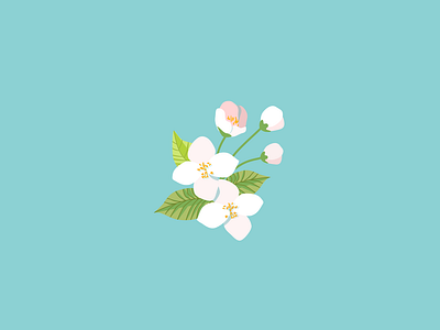 Jasmine cute art design flat design flower illustration minimal ui