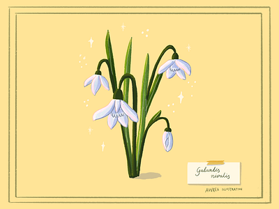 Snowdrop art book illustration botanical art botanical illustration children art children illustration editorial art flower illustration snowdrop