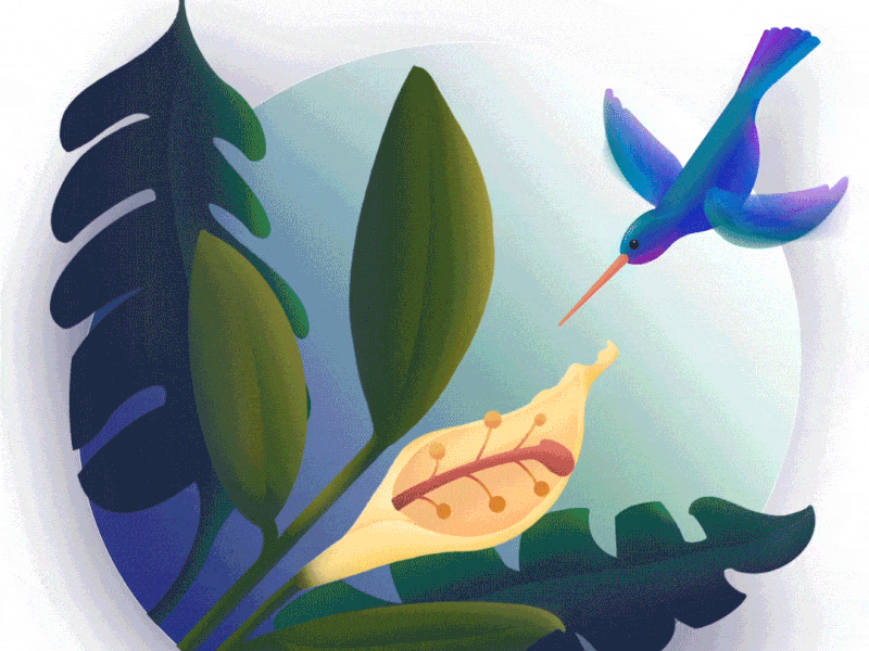 Hummingbird // UI Illustration animals character animation character design character desing digital illustration fly garden illustration landscape nature plants portfolio procreate ui ui illustration web design web illustration wind