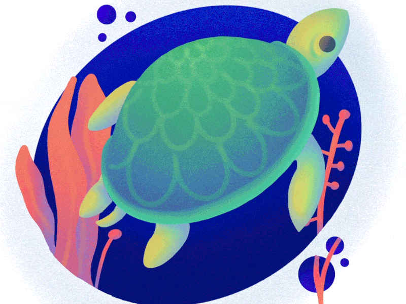 Sea Turtle // UI illustration animal animation character design digital illustration illustration landscape minimal nature ocean plants portfolio procreate sea turtle ui ui illustration water web design web illustration wild