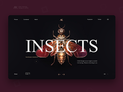 INSECTS design flat hero landing ui ux web website