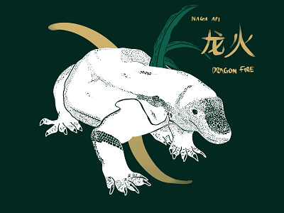 Dragon Fire animal botanical dragon fire illustration komodo