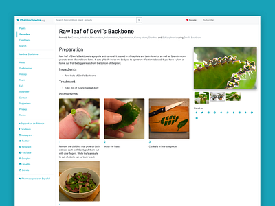 Pharmacopedia Remedy Page desktop pharmacopedia raw ui ux design ui design web website