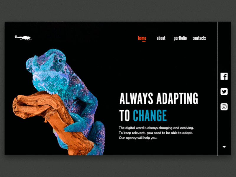 Daily UI Challenge #003 - Landing Page animal coloful daily 100 challenge daily challange gif landing page ui ux design