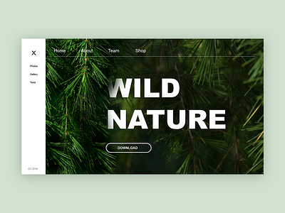 Wild Nature Webpage design typography ui ui ux design web