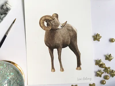 Aries - Astrology Illustration animal animal illustration aries astrology colored pencils editorial gouache illustration magazine mixed media watercolor zodiac
