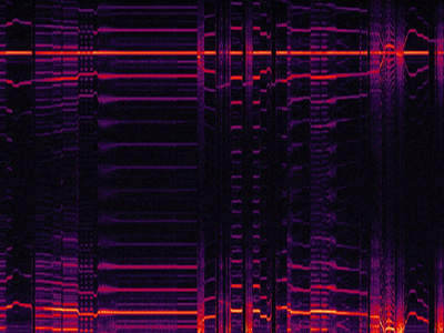 Species: analysis design