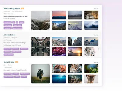 Photography Portfolio app application design photography photography portfolio portfolio pro tags ui web