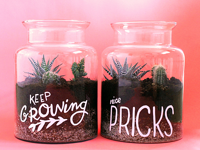 Hand lettered terrariums 1 shot paint hand lettering letters nottingham painted plants terrariums typography