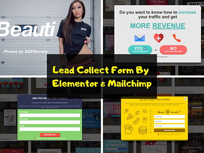 Lead Collect Form By Elementor & Mailchimp animation branding branding design design dribbble dribbble best shot elementor elementor pro illustration landing page landing page design logo mailchimp photoshop travel blog typography web deisgn webdesign wordpress wordpress design