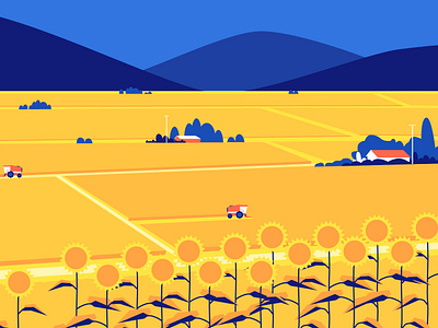 Sunflowers