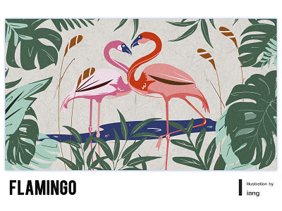 flamingo flamingo