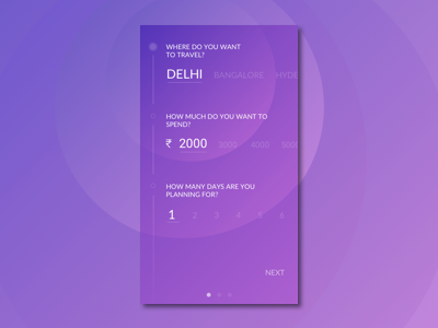 Travel Questionnaire info design lakkalapudi questionaire user center design ux designer ux ui design