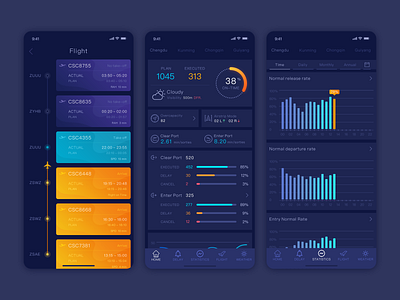 Civil Aviation Data Platform aviation data statistics ui vd