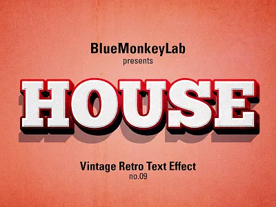 Vintage Retro Text Effects 3d add on classic effects grunge hipster insignia label logo mockup old oldies pattern photorealistic presentation retro style text type typography